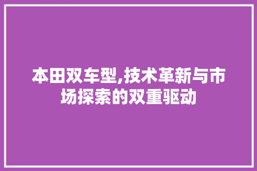 本田双车型,技术革新与市场探索的双重驱动