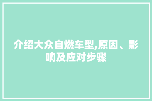 介绍大众自燃车型,原因、影响及应对步骤 车灯配件