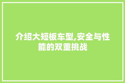 介绍大短板车型,安全与性能的双重挑战