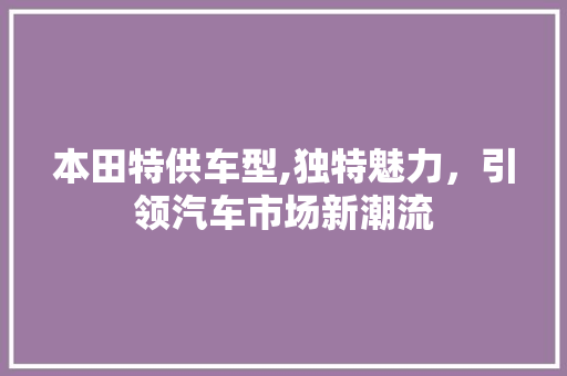 本田特供车型,独特魅力，引领汽车市场新潮流
