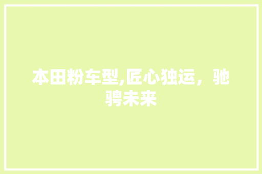 本田粉车型,匠心独运，驰骋未来
