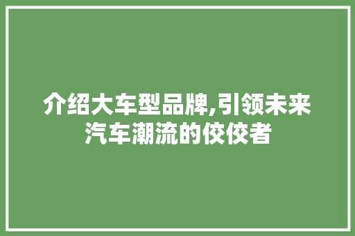 介绍大车型品牌,引领未来汽车潮流的佼佼者 新款车型