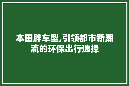 本田胖车型,引领都市新潮流的环保出行选择