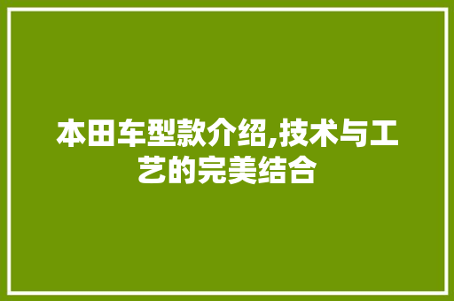 本田车型款介绍,技术与工艺的完美结合