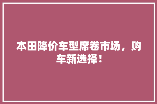 本田降价车型席卷市场，购车新选择！