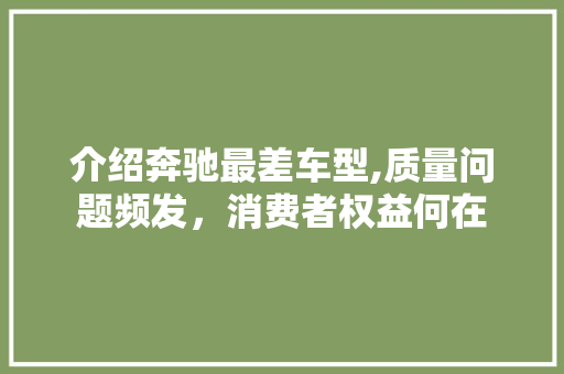 介绍奔驰最差车型,质量问题频发，消费者权益何在