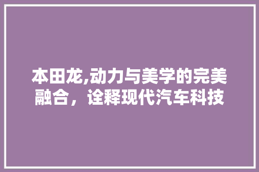 本田龙,动力与美学的完美融合，诠释现代汽车科技