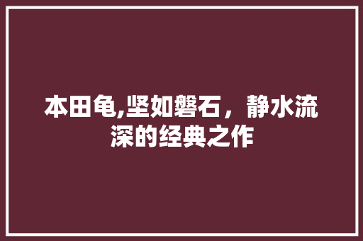 本田龟,坚如磐石，静水流深的经典之作
