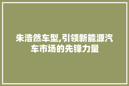 朱浩然车型,引领新能源汽车市场的先锋力量
