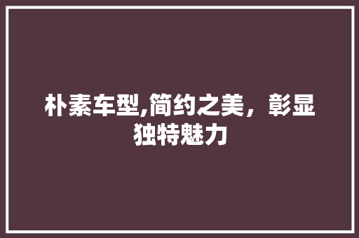 朴素车型,简约之美，彰显独特魅力