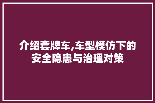 介绍套牌车,车型模仿下的安全隐患与治理对策