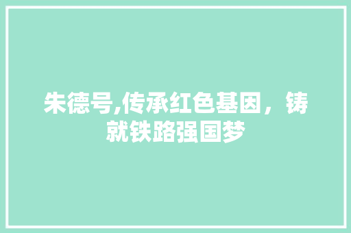 朱德号,传承红色基因，铸就铁路强国梦