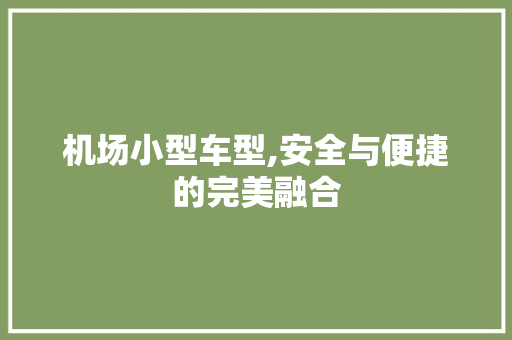 机场小型车型,安全与便捷的完美融合