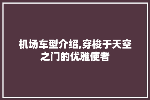机场车型介绍,穿梭于天空之门的优雅使者