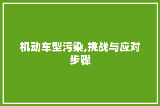 机动车型污染,挑战与应对步骤