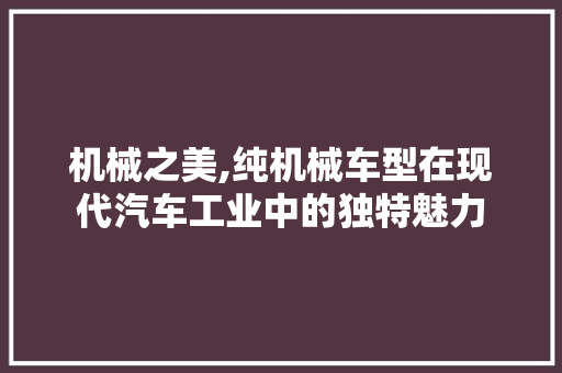 机械之美,纯机械车型在现代汽车工业中的独特魅力