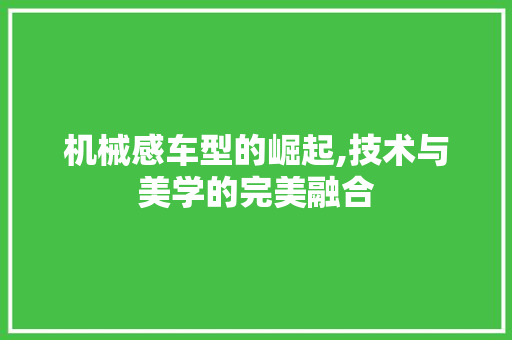 机械感车型的崛起,技术与美学的完美融合