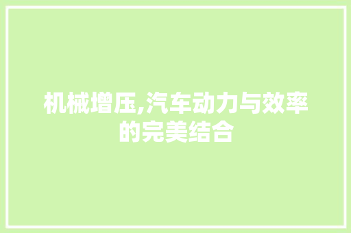 机械增压,汽车动力与效率的完美结合