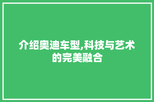 介绍奥迪车型,科技与艺术的完美融合
