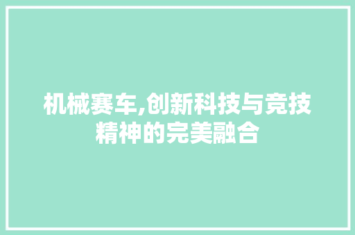 机械赛车,创新科技与竞技精神的完美融合