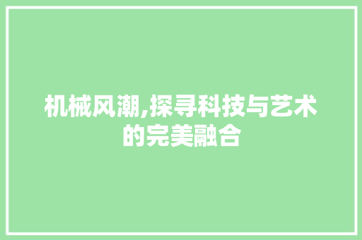 机械风潮,探寻科技与艺术的完美融合
