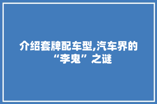 介绍套牌配车型,汽车界的“李鬼”之谜