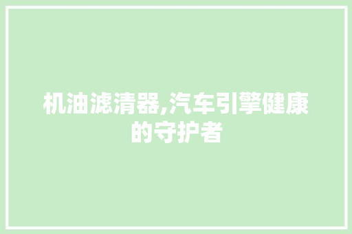 机油滤清器,汽车引擎健康的守护者