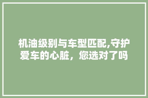 机油级别与车型匹配,守护爱车的心脏，您选对了吗