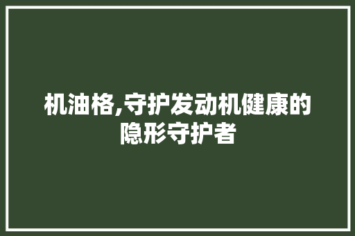 机油格,守护发动机健康的隐形守护者