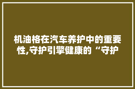 机油格在汽车养护中的重要性,守护引擎健康的“守护神”