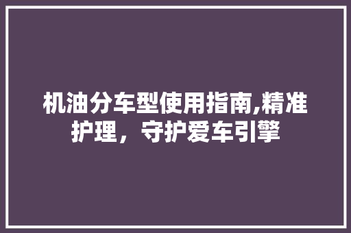 机油分车型使用指南,精准护理，守护爱车引擎