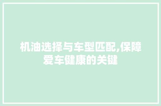 机油选择与车型匹配,保障爱车健康的关键