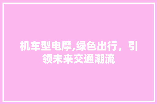 机车型电摩,绿色出行，引领未来交通潮流