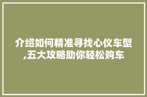 介绍如何精准寻找心仪车型,五大攻略助你轻松购车