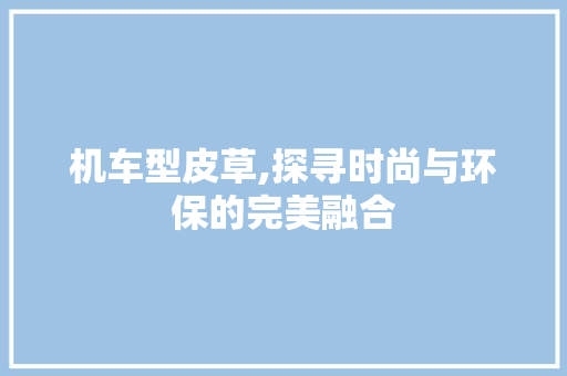 机车型皮草,探寻时尚与环保的完美融合