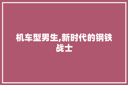 机车型男生,新时代的钢铁战士