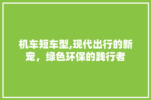 机车短车型,现代出行的新宠，绿色环保的践行者