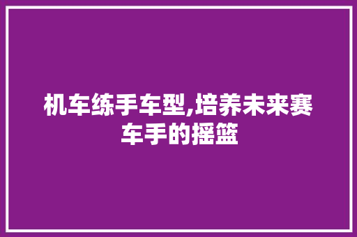 机车练手车型,培养未来赛车手的摇篮