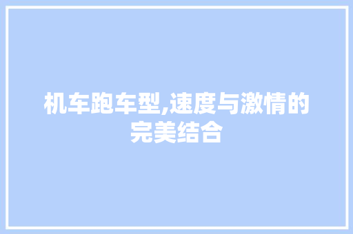 机车跑车型,速度与激情的完美结合