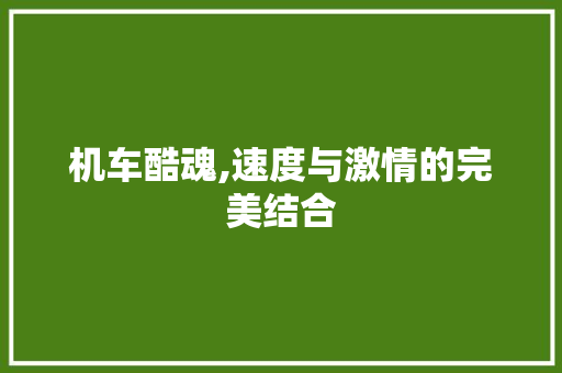 机车酷魂,速度与激情的完美结合