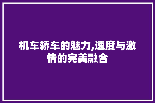 机车轿车的魅力,速度与激情的完美融合