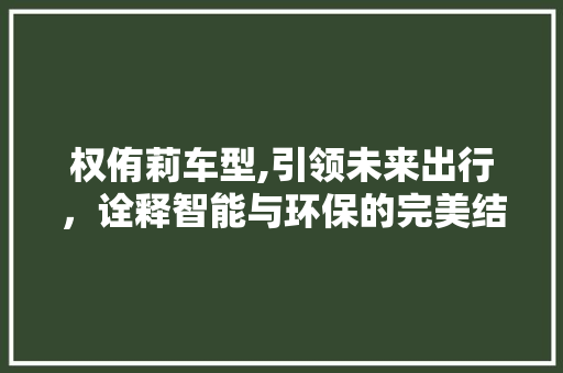 权侑莉车型,引领未来出行，诠释智能与环保的完美结合