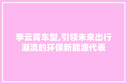 李云霄车型,引领未来出行潮流的环保新能源代表