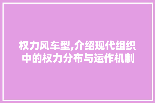 权力风车型,介绍现代组织中的权力分布与运作机制