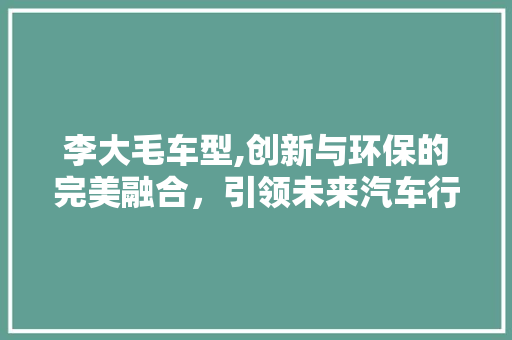 李大毛车型,创新与环保的完美融合，引领未来汽车行业新潮流