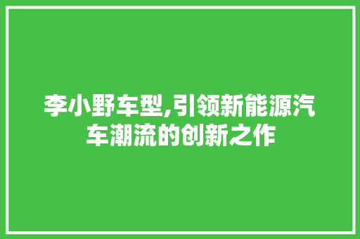 李小野车型,引领新能源汽车潮流的创新之作