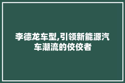 李德龙车型,引领新能源汽车潮流的佼佼者