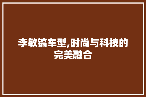 李敏镐车型,时尚与科技的完美融合