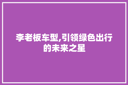 李老板车型,引领绿色出行的未来之星