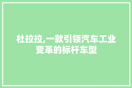 杜拉拉,一款引领汽车工业变革的标杆车型